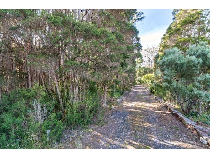 Victor Street North, Latrobe TAS 7307