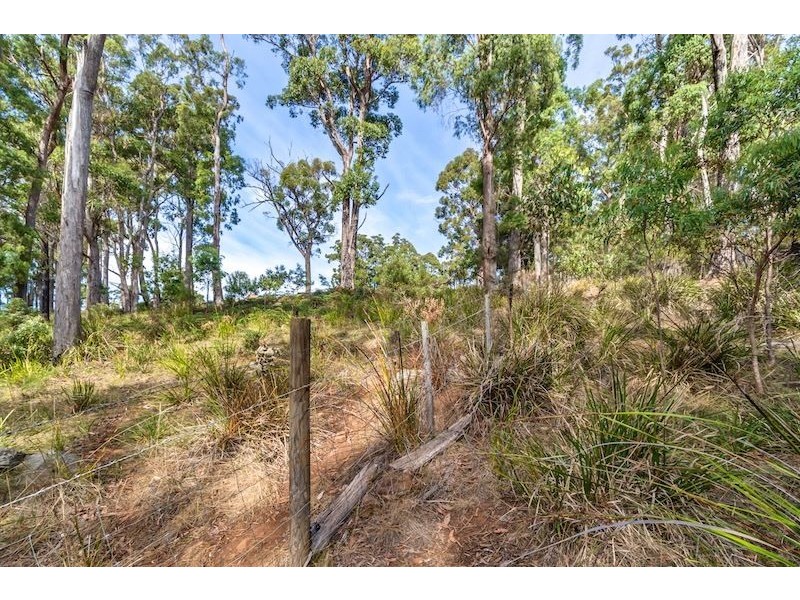 Victor Street North, Latrobe TAS 7307