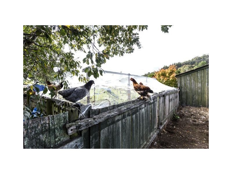 77 Cornwall Road, Acacia Hills TAS 7306