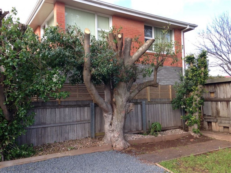 87A David Street, East Devonport TAS 7310