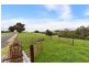 470 Allison Road, North Motton TAS 7315