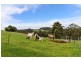 470 Allison Road, North Motton TAS 7315