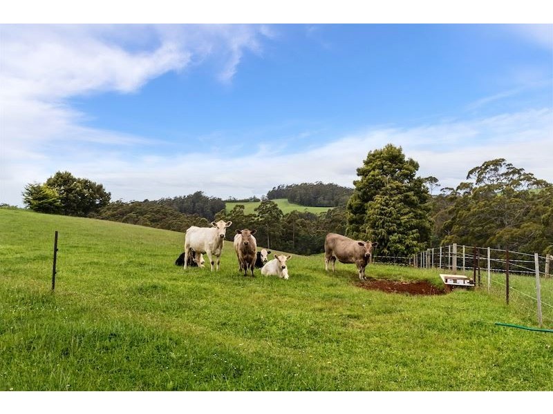 470 Allison Road, North Motton TAS 7315