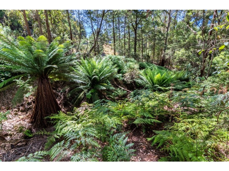 176 Kelcey Tier Road, Spreyton TAS 7310