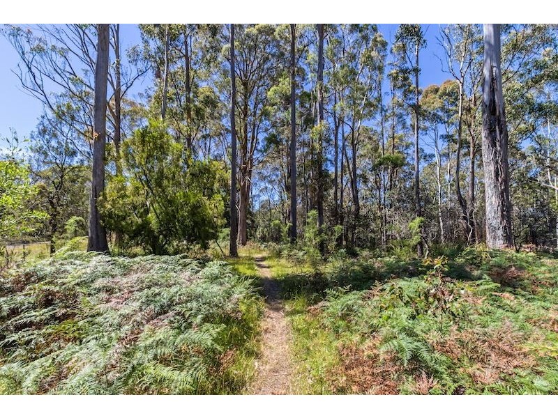 122 Old Deloraine Road, Latrobe TAS 7307
