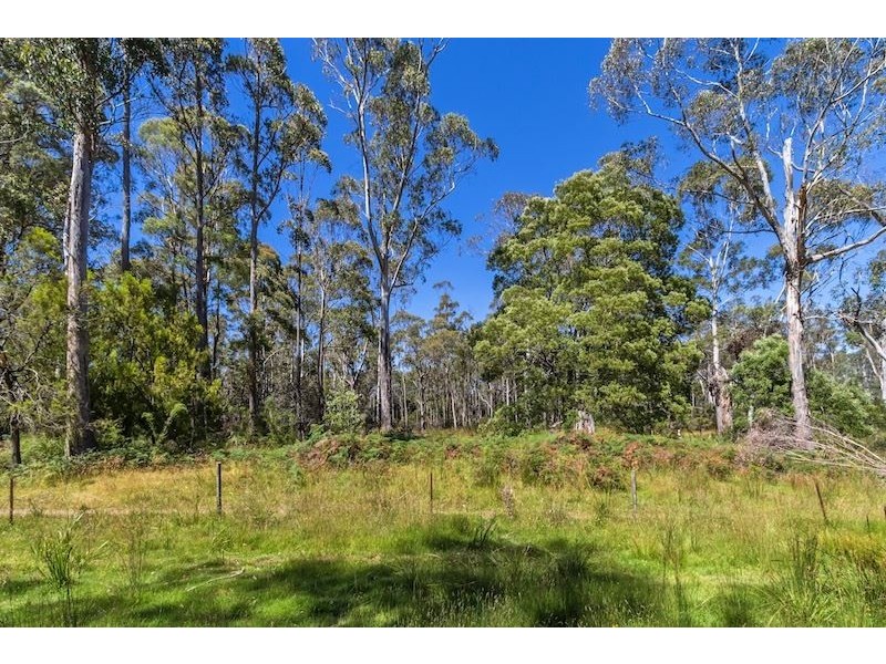 122 Old Deloraine Road, Latrobe TAS 7307