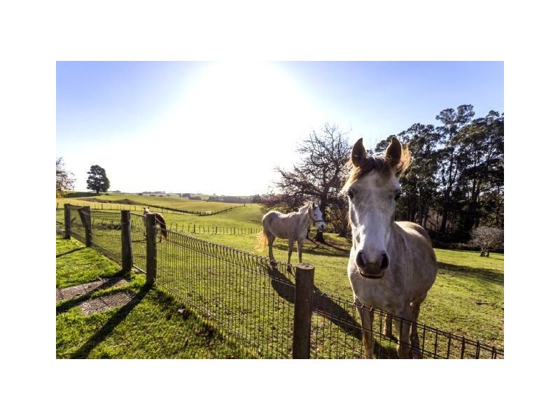 12 Shepperds Lane, Elliott TAS 7325