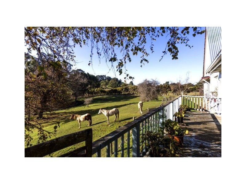 12 Shepperds Lane, Elliott TAS 7325