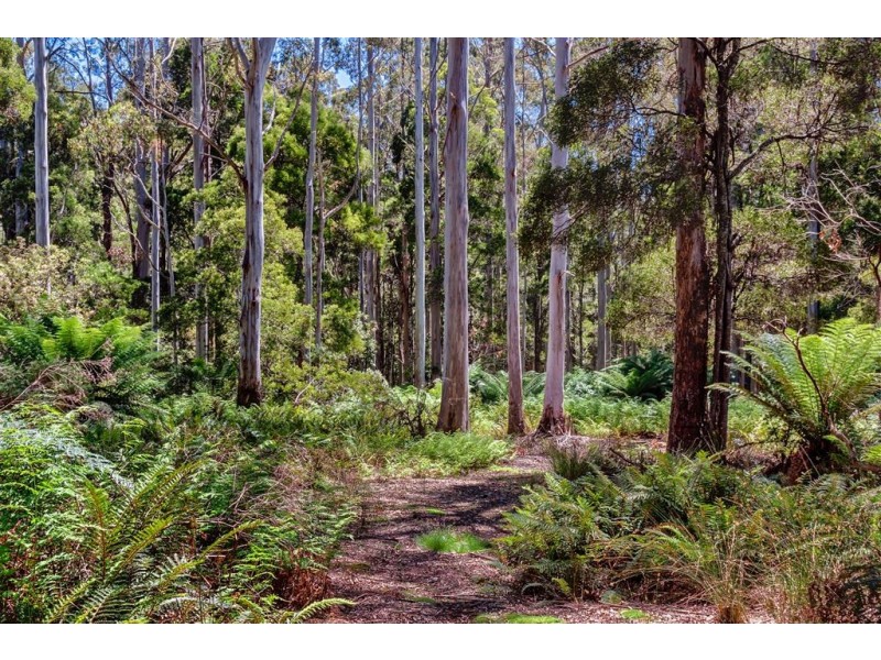 36 Kop Road, Erriba TAS 7310