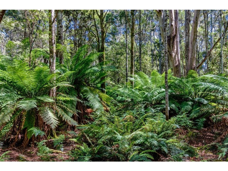 36 Kop Road, Erriba TAS 7310