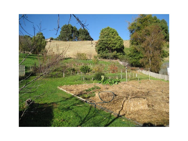 36 King Edward, Penguin TAS 7316