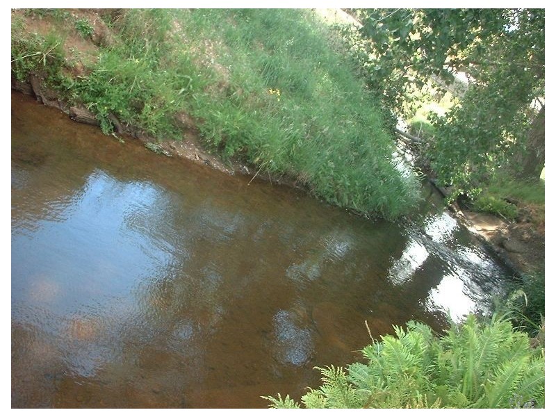 22 Ironcliffe Road, Penguin TAS 7316