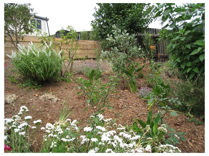 22 Ironcliffe Road, Penguin TAS 7316