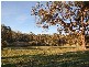 10 Edialta Road, Cherry Gardens SA 5157