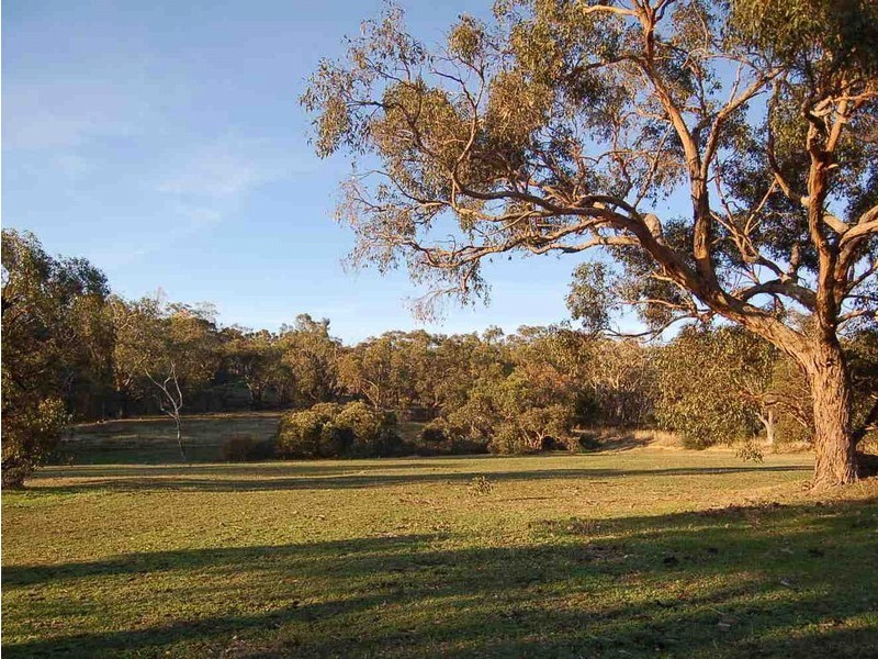 10 Edialta Road, Cherry Gardens SA 5157