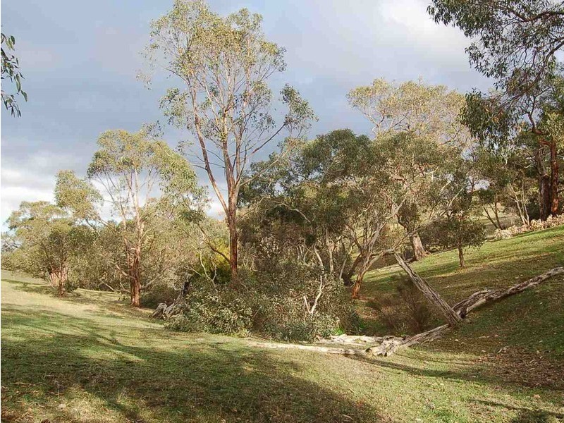10 Edialta Road, Cherry Gardens SA 5157