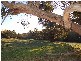 10 Edialta Road, Cherry Gardens SA 5157