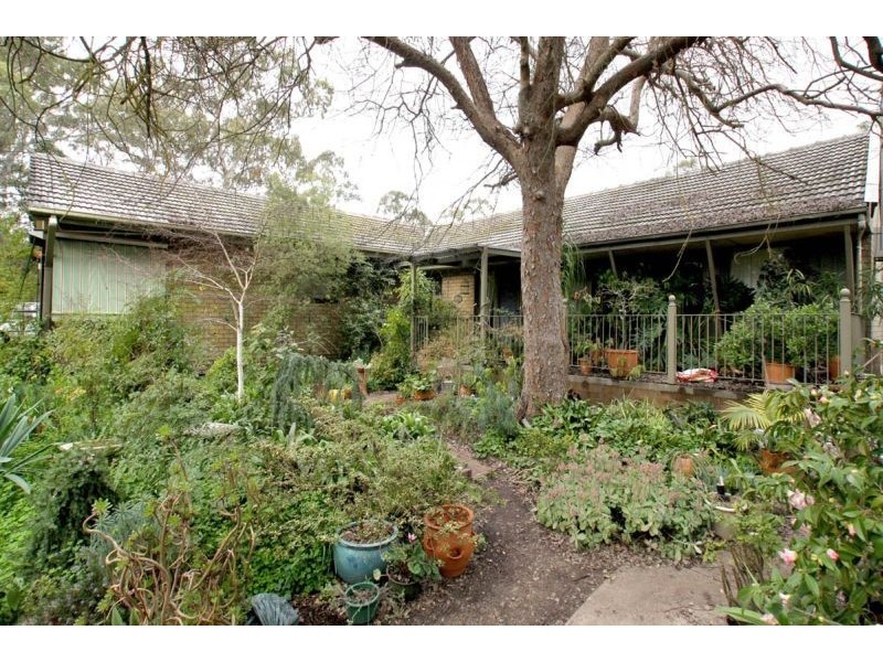10 Suffolk Road, Hawthorndene SA 5051