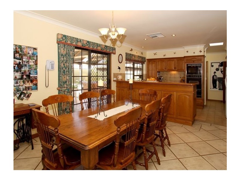 7 Hersey Court, Marion SA 5043