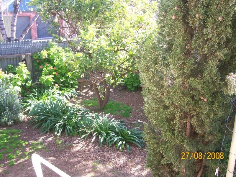 21 Bandon Terrace, Kingston Park SA 5049