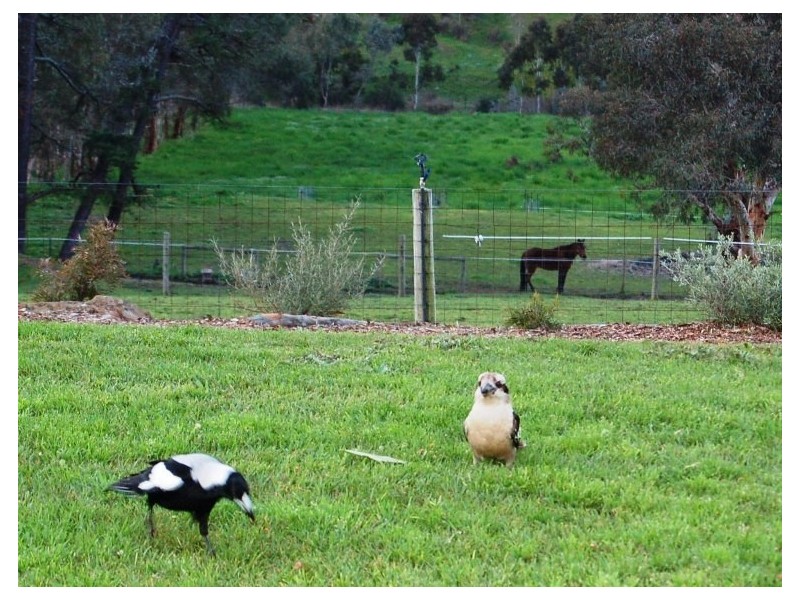 650 Cherry Gardens Road, Cherry Gardens SA 5157