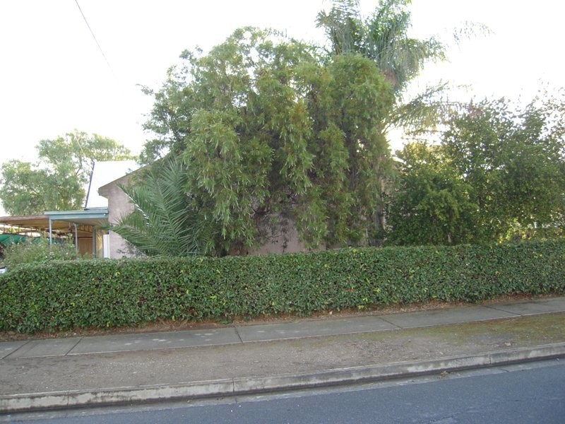 27 Ferry Avenue, Plympton Park SA 5038