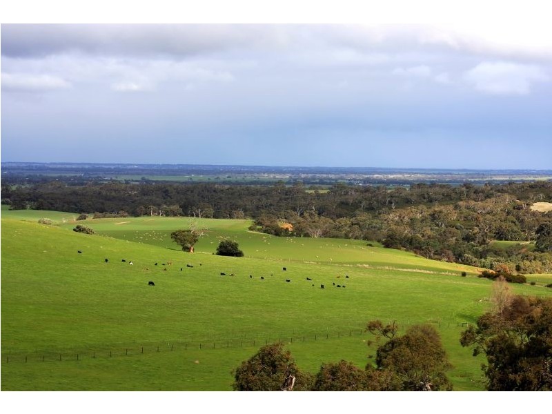 Lt 1101 Wattle Flat Road, Ashbourne SA 5157