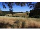 24 Turners Avenue, Coromandel Valley SA 5051