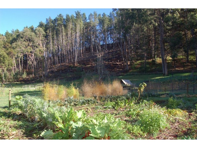 45 A Whitewood Drive, Upper Sturt SA 5156