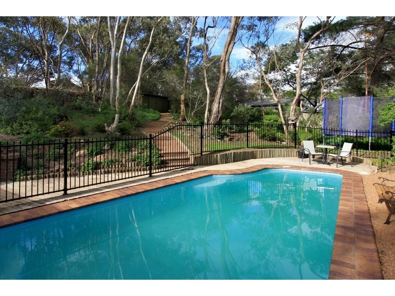 8 Scherer Avenue, Coromandel Valley SA 5051