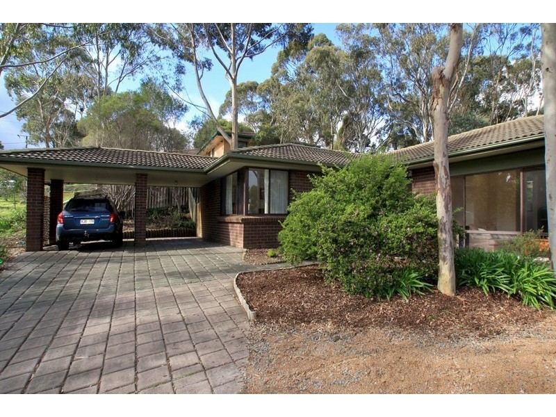8 Scherer Avenue, Coromandel Valley SA 5051