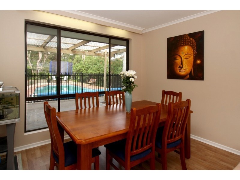 8 Scherer Avenue, Coromandel Valley SA 5051