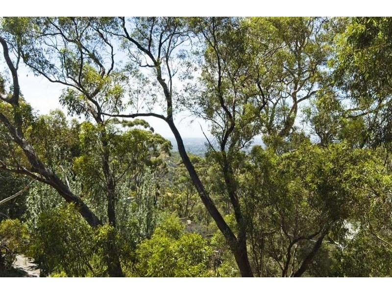 7 Francis Street, Belair SA 5052