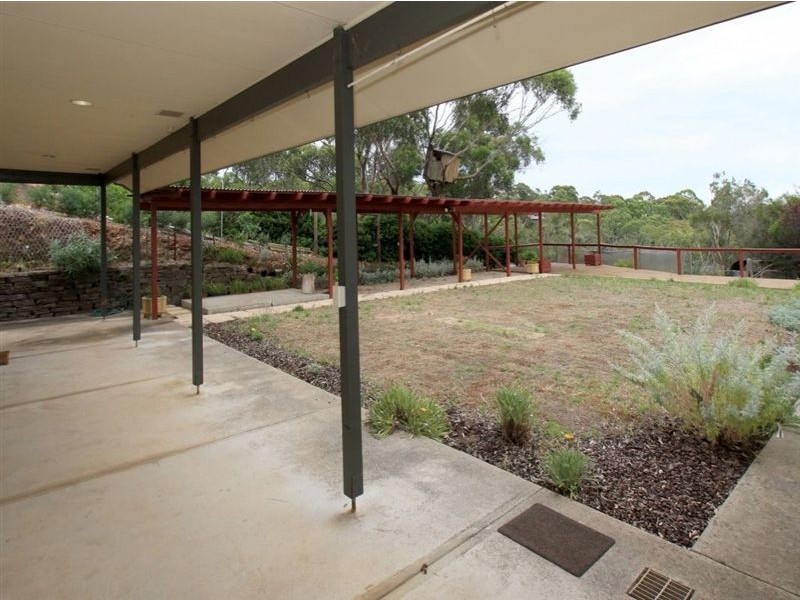 19 McNamara Road, Coromandel Valley SA 5051