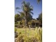 1 Tania Drive, Aberfoyle Park SA 5159