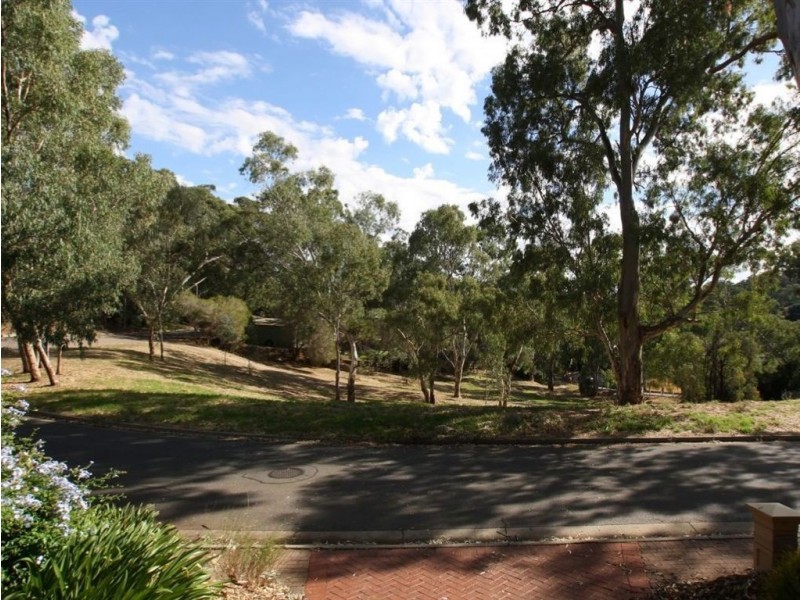 29 Shannon Crescent, Coromandel Valley SA 5051