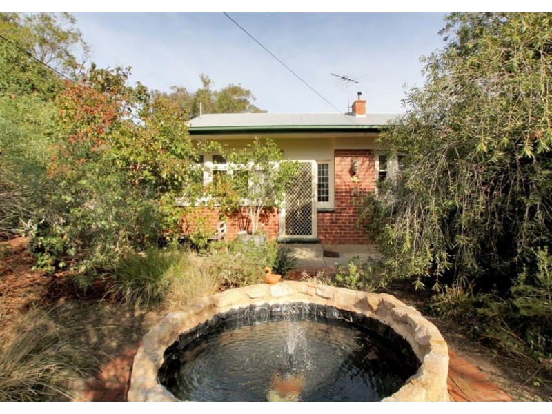 51 Pekina Street, Eden Hills SA 5050