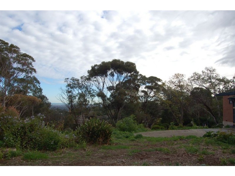 14a Argyll Walk, Bellevue Heights SA 5050