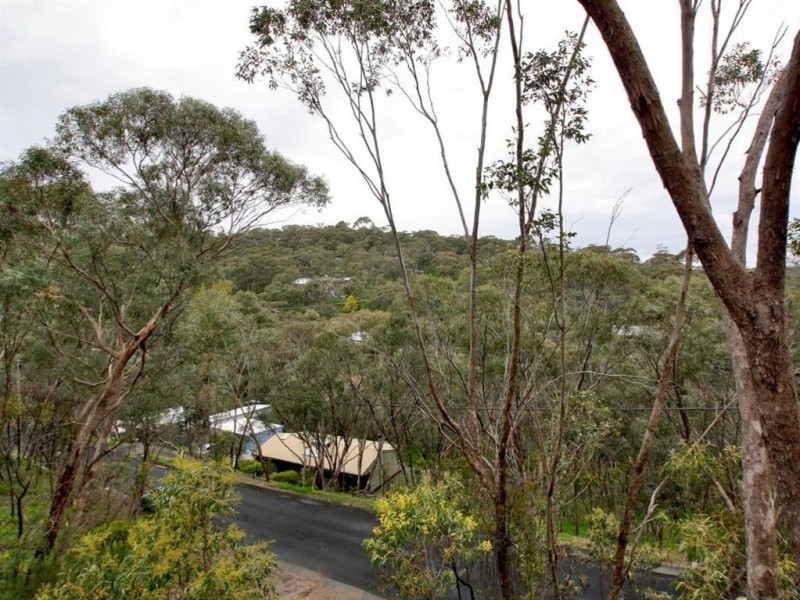 11 Waratah Close, Belair SA 5052