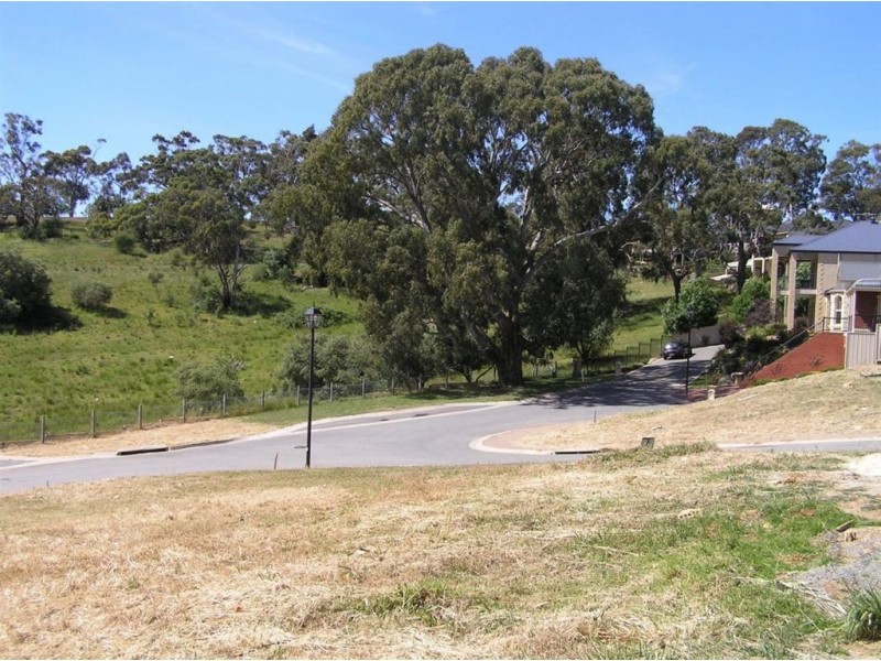 9 Holly Hock Court, Craigburn Farm SA 5051