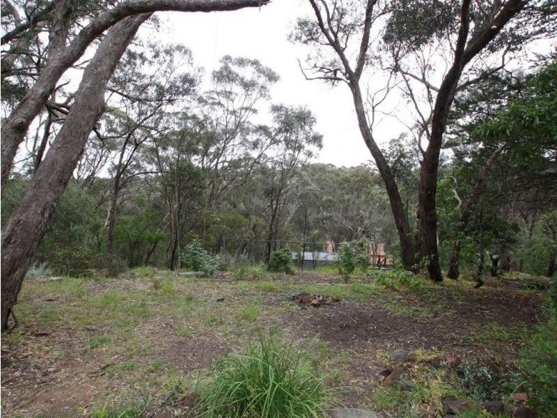 17 Deane Avenue, Belair SA 5052