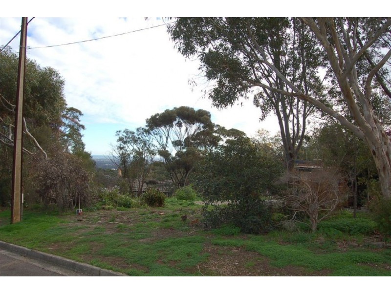 14a Argyll Walk, Bellevue Heights SA 5050