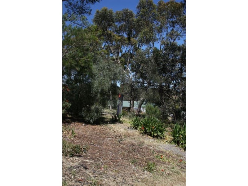 14a Argyll Walk, Bellevue Heights SA 5050