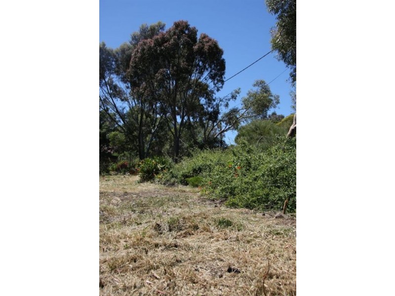 14a Argyll Walk, Bellevue Heights SA 5050