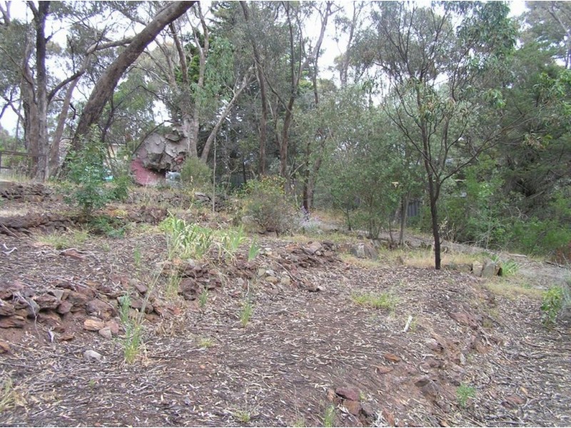 19 Deane Avenue, Belair SA 5052