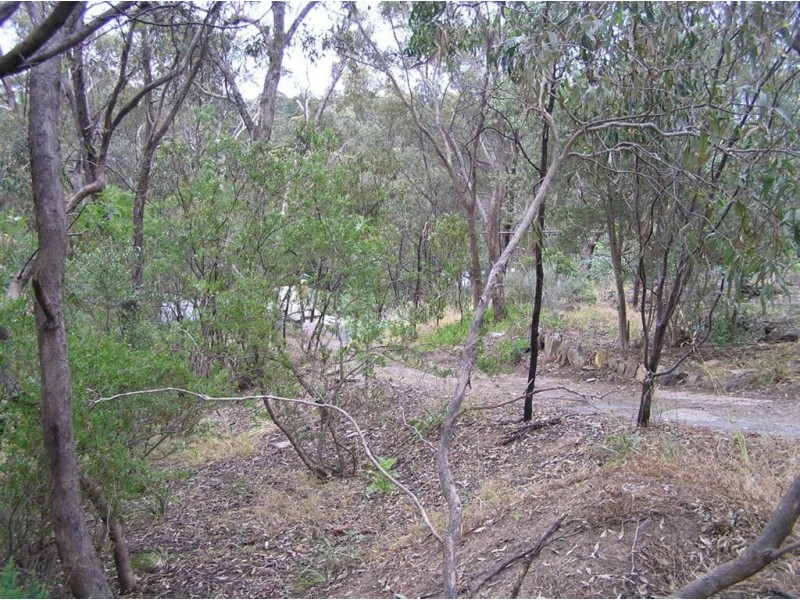 19 Deane Avenue, Belair SA 5052