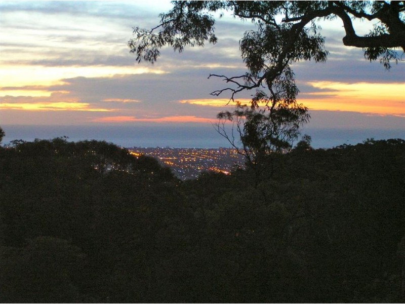 6a Wattle Grove, Belair SA 5052