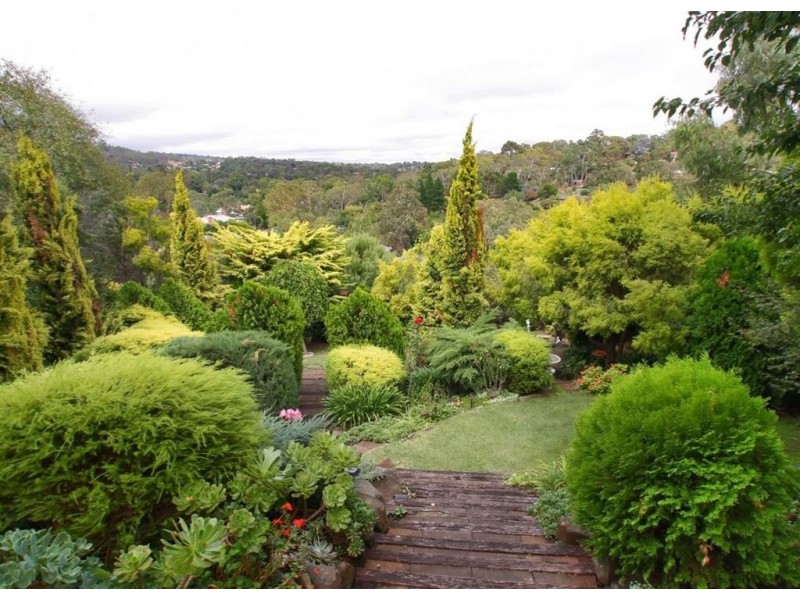 14 Gwendoline Court, Coromandel Valley SA 5051