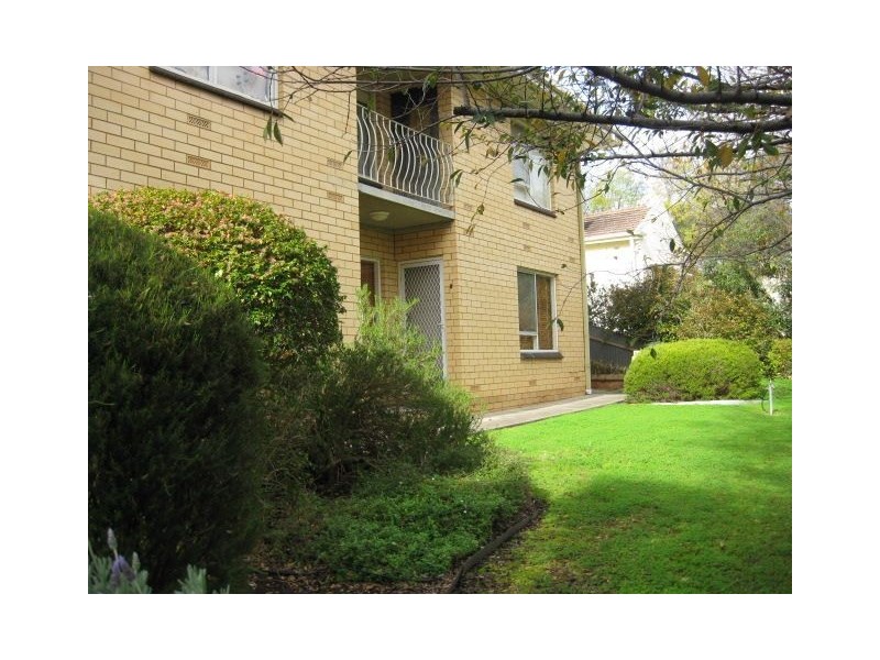 2/237 Belair Road, Torrens Park SA 5062