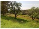 33 Arbury Park Rd, Aldgate SA 5154